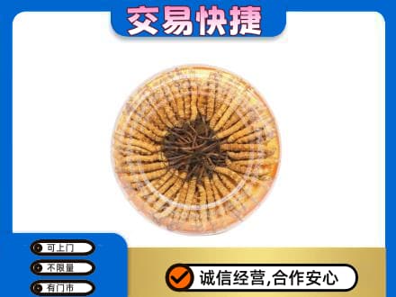 保定回收虫草礼盒